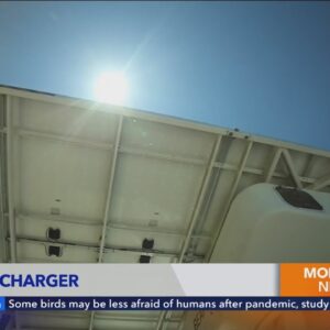 Los Angeles is installing solar powered EV charging stations