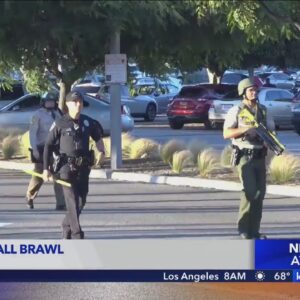 Brawl among teens draws police response to Del Amo Fashion Center in Torrance