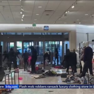Officials to discuss crackdown on flash mob thefts