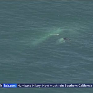 Oil sheen results from sunken boat off Huntington Beach coast