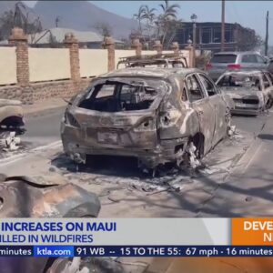 Police say 96 confirmed dead in Maui fires