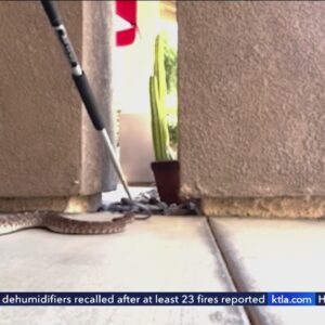 Riverside County woman recovering after snake bite