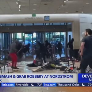 Video captures 'flash mob' of burglars swarming Nordstrom in Southern California mall