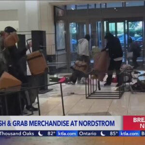 Video captures mob of robbers swarming Nordstrom in Topanga mall