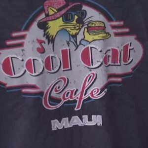 Central Coast family loses two restaurants in Lahaina fire, now fundraising to financially ...