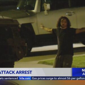 29-year-old man arrested in ambush-style slaying of L.A. County deputy
