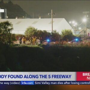 Burned body found along 5 Freeway