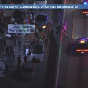 Denonstrators shut down the 101 Freeway in Los Angeles
