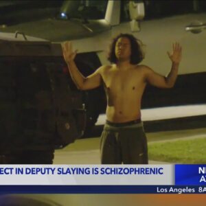 29-year-old man accused of slaying L.A. deputy is schizophrenic, family says
