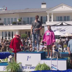 Competitors at Second Annual Miramar Best in Show raise funds for fellow furry friends