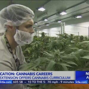 Higher Ed: UC Riverside helping students kickstart careers in cannabis