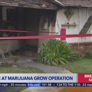 Illegal marijuana grow operation discovered during house fire