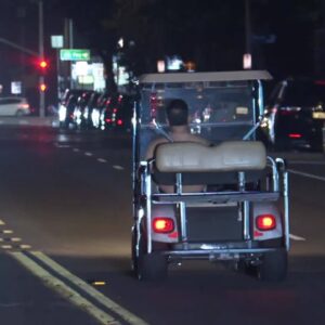 Man with a dog leads police in pursuit in a golf cart