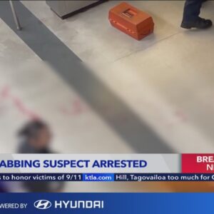 Metro fatal stabbing suspect arrested