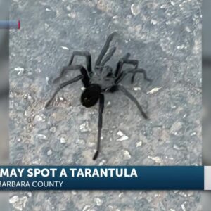 Nature hikes and tarantula sightings