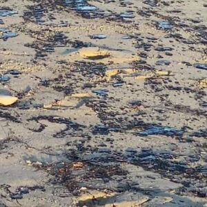 Oil and tar increasing on some beaches