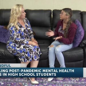Post Pandemic High Schools on the Central Coast open Wellness Center’s after mental health ...