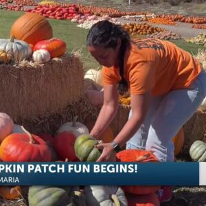 The Patch returns for another fall season in Santa Maria Valley