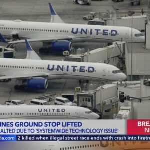 United Airlines temporarily ground flights nationwide