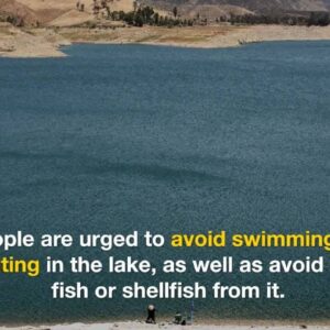 Warning issued for Lake Castaic