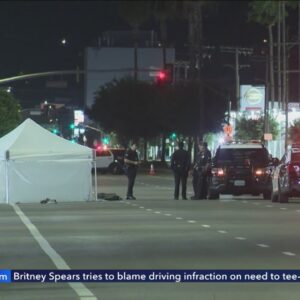 Bicyclist killed in hit-and-run; LAPD searching for driver
