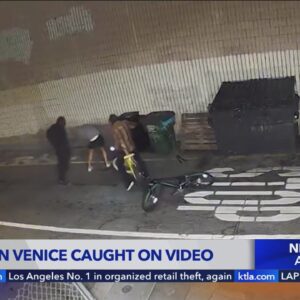 Brutal assault caught on video in Venice