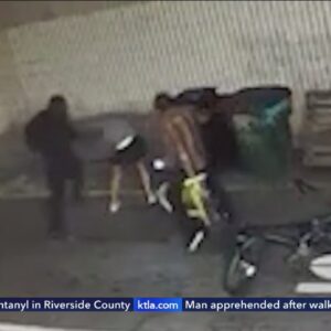 Brutal assault caught on video in Venice