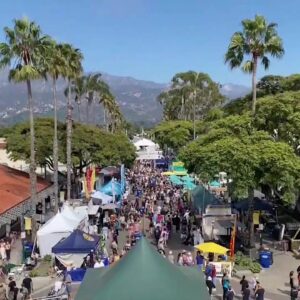 California Avocado Festival helps nonprofits raise funds