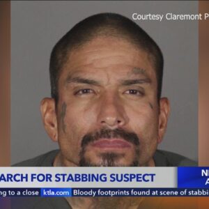 Claremont police searching for stabbing suspect