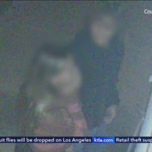 Southern California couple terrified after window peepers spotted on camera
