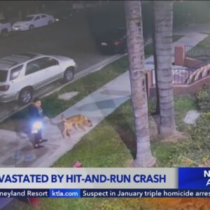 Family devastated after fatal hit-and-run in North Hills