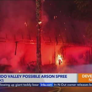 Flower shop, house damaged in San Fernando Valley fire spree