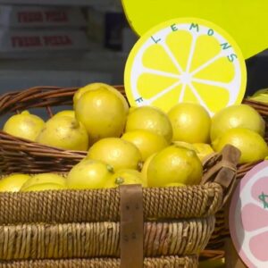 Goleta Lemon Festival celebrates 30th year
