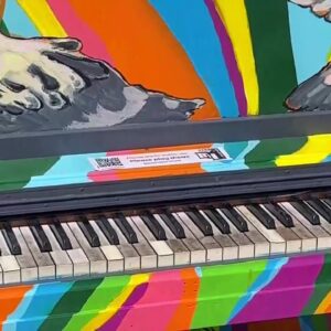 Locals say ‘Pianos on State’ is “music to their ears”