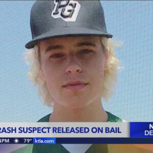 Malibu crash suspect facing murder charges out on bond