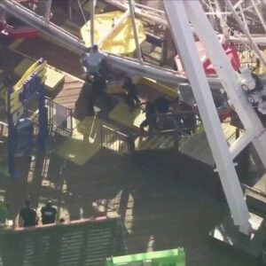 Man who scaled Ferris wheel at Santa Monica Pier in custody