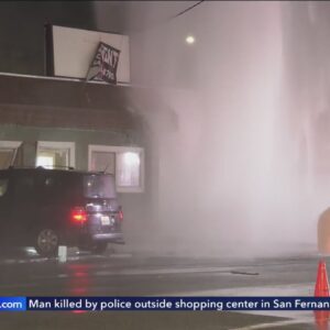 Out-of-control driver slams into hydrant, building