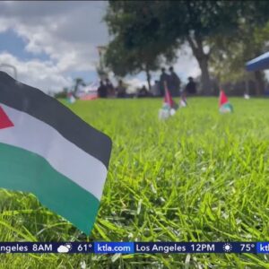 Palestinian flags placed on lawn at UC Riverside