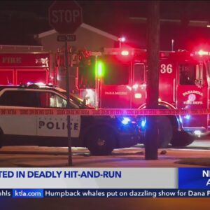 Police arrest suspect in deadly Pasadena hit-and-run