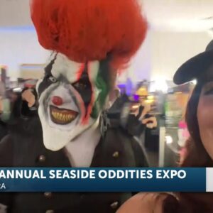 Seaside Oddities Expo kicks off countdown to Halloween