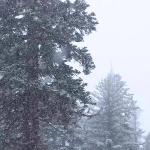 Season's first snow arrives at Mammoth Mountain