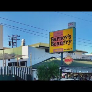 Why Barney's Beanery is the newest Gen Z hot spot