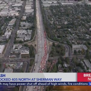 Deadly crash involving wrong way driver stops all traffic on NB 405 Freeway 