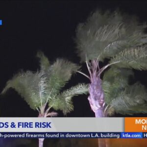 More Santa Ana winds increase wildfire risk throughout Southern California 