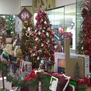 Popular Christmas tree fundraiser once again being held in Santa Maria Town Center mall