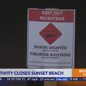 ‘Aggressive shark activity’ prompts closure of beach in Orange County