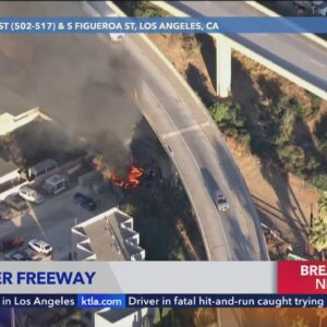 Another fire burns underneath another Los Angeles freeway