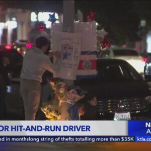 Police searching for hit-and-run driver that killed man on scooter in Hollywood