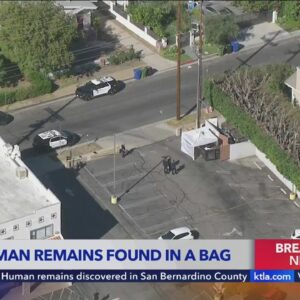 Bag of body parts found in Encino