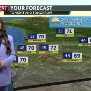 Chilly mornings, followed by mild afternoons this weekend